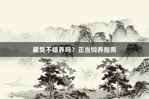 藏獒不错养吗？正当饲养指南